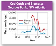 A graph showing 'Cod Catch and Biomass: Georges Bank of NW Atlantic'.