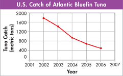 A line graph of 'U.S. catch of Atlantic Bluefin Tuna.'