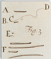 Leeuwenhoek's illustrations of the organisms he found in the human mouth.