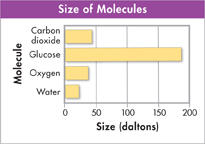 Graph showing 'Size of Molecules'.