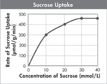 A graph illustrating 'Sucrose Uptake'.