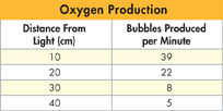 A data table titled 'Oxygen Production' shows data for 'Distance From Light' and 'Bubbles Produced per minute'.