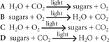 This image shows formulas showing four chemical reactions in photosynthesis.