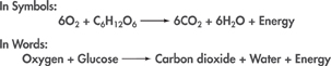 Chemical equations of cellular respiration, first in symbols and then in words.