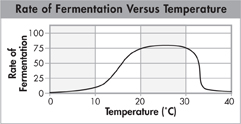A graph demonstrating rate of fermentation versus temperature.