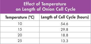 A table showing 'Effect of Temperature on Length of Onion Cell Cycle'.