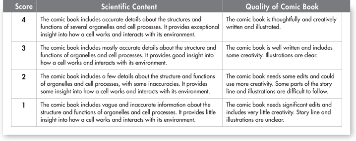 An assessment rubric that describes the scores based on scientific content and quality of comic book.