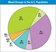 A pie chart showing percentage of the types of blood groups in the U.S. Population.