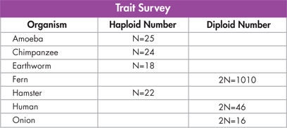A table of calculating haploid and
 diploid Numbers titled 'Trait Survey'.