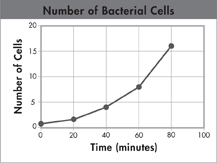 A graph demonstrating 'Number of Bacterial Cells'.