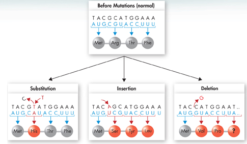 An illustration showing 'Point Mutations'.