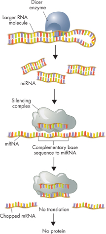 An illustration demonstrating 'Blocking of gene expression in mRNA'.