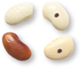 Three white beans and one red bean. Two of the white beans have black dots marked on them.