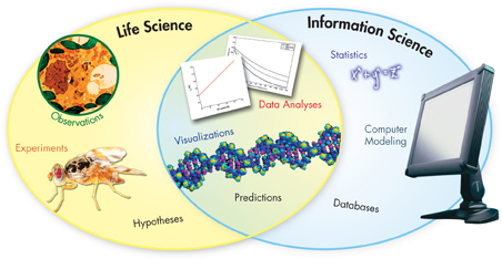 An illustration showing the fields of study in bioinformatics, which is a combination of Life Science and Information Science.