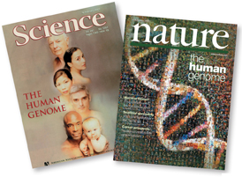 Image shows issues of the journals Nature and Science, in which details of the human genome is published.