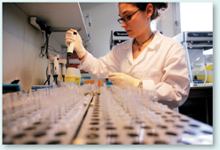 An lab technician conducts DNA test in a laboratory.