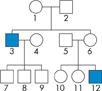 A pedigree chart showing the transmission of hemophilia through three generations of a family