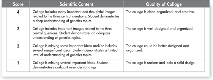 An assessment rubric that describes the scores based on scientific content and quality of collage.