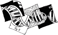 Illustration of a DNA double helix.