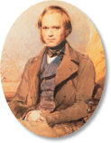 A photograph of Charles Darwin.