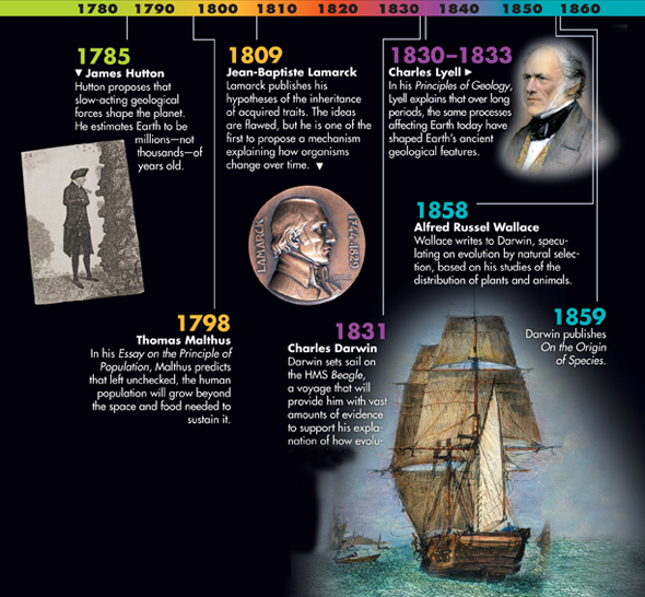 A timeline showing various scientists who have contributed to the origins of evolutionary thoughts.