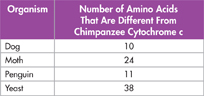 A table showing 'number of amino acids that are different from chimpanzee cytochrome c' for different organisms.