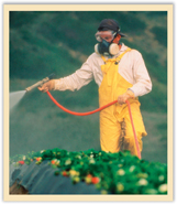 A farmer spraying pesticide on crops.
