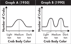 A freehand curve showing body color of crabs during 1950 and 1990.
