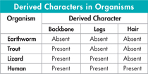 A table for 'Derived Characters in Organisms'.