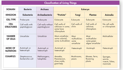 A table shows "Classification of Living Things" are grouped into three domains. 