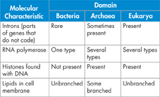 Table compares some molecular characteristics of organisms in the three domains.