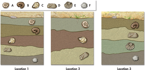 The diagram illustrates the process of relative dating.