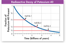 A line graph titled 'Radioactive Decay of Potassium-40'.