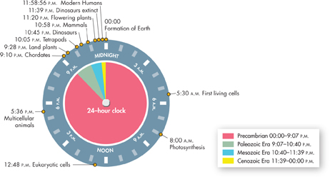 A clock representing geological time. This 24-hour clock shows span of time since the Earth was formed.