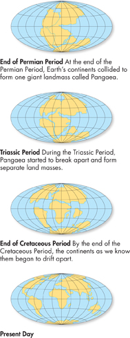 The diagram represents the changing face of Earth over the last 225 million years.