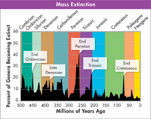 A graph titled 'Mass Extinction'.