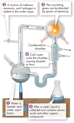 The diagram illustrates the apparatus used in 'Miller-Urey Experiment', which produce amino acids.