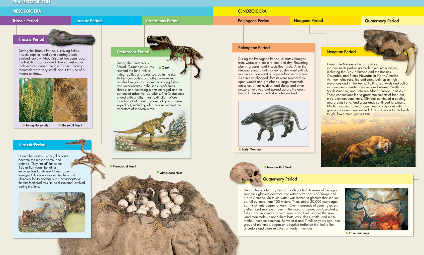 Classification of Mesozoic Era into Mesozoic Era and Cenozoic Era