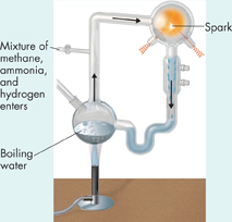 The apparatus that Miller and Urey used in their experiment.