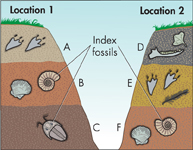 The rock layers in two different places.