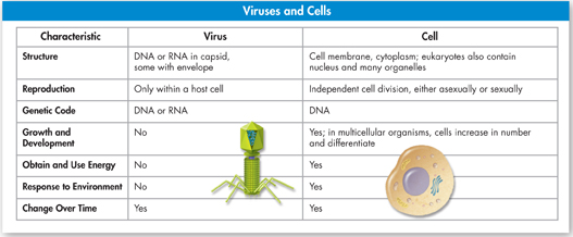 A chart listing the difference between Virus and Cell.