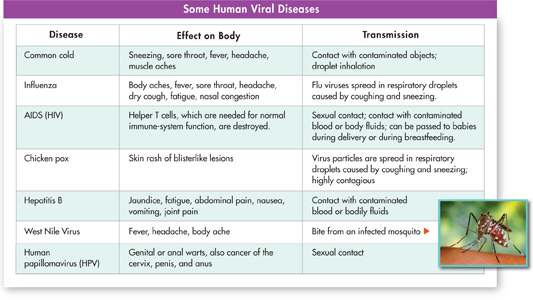 Data on 'Some Human Viral Diseases' is given in a tabular form.