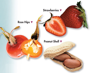 Three variety of fruits - "Rose hips", "Strawberries" and "Peanut shell."