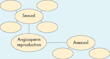 A concept map about the key points learnt in this chapter. 