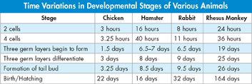 A table titled 'Time Variations in Developmental Stages of Various Animals'
