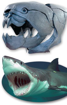 Two images has been shown: 
 Fossil of Dunkleosteus, and
 A great white shark.