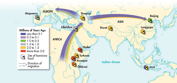 A map shows the migration trends of modern human ancestors. Arrows indicate that many of them migrated from Africa to the Middle East, and that they did so in waves spanning millions of years. From the Middle East, other large groups proceeded to migrate west into Europe and east into Asia.