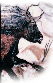 An ancient cave painting of a bull from France named Cro-Magnon Art.