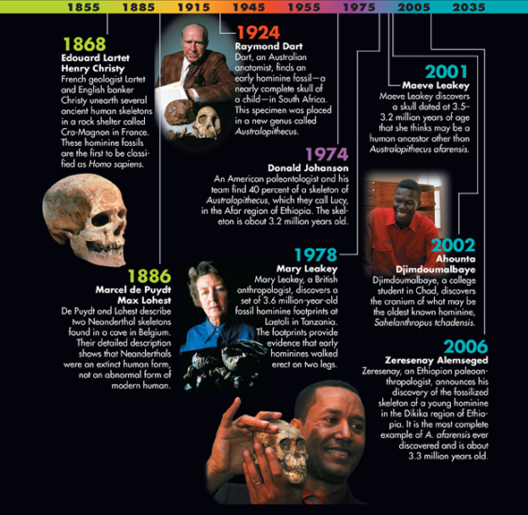 A diagram showing the timeline of the study of human origins.
