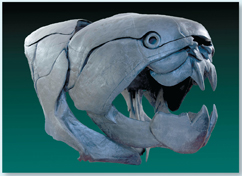 Fossil of Dunkleosteus.